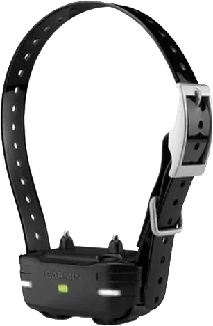 GPS-ошейник Garmin Sport Pro